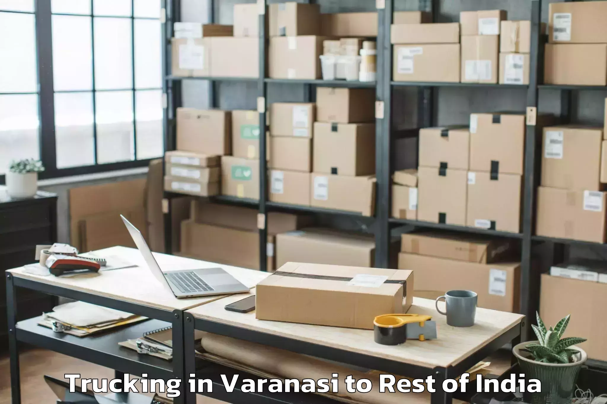 Reliable Varanasi to Rajauri Trucking